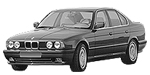 BMW E34 B229D Fault Code