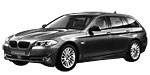 BMW F11 B229D Fault Code